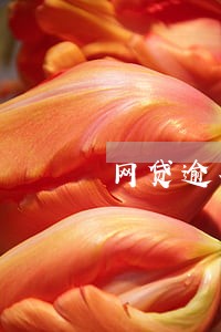 网贷逾期160天被起诉怎么办