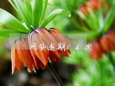 网贷逾期16次 网贷逾期16次