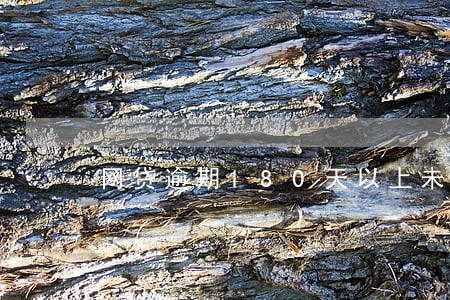 网贷逾期180天以上未还本金 网贷逾期180天以上未还本金
