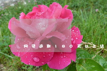 网贷逾期180天以上结清 网贷逾期180天以上结清