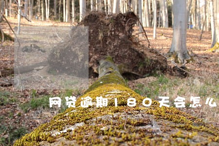 网贷逾期180天会怎么样 网贷逾期180天会怎么样