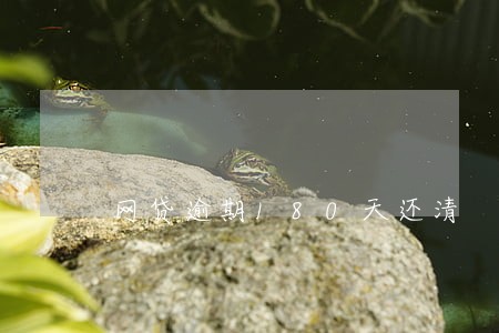 网贷逾期180天还清 网贷逾期180天还清