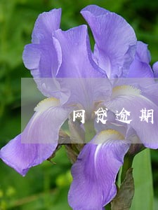 网贷逾期19万完整视频 网贷逾期19万完整视频