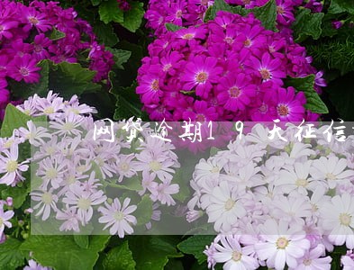 网贷逾期19天征信报告 网贷逾期19天征信报告