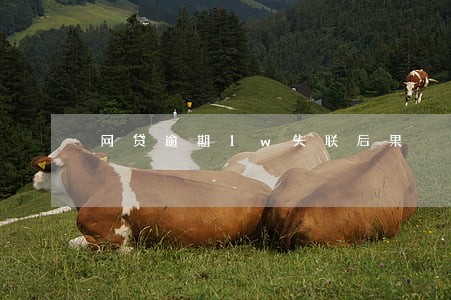 网贷逾期1w失联后果 网贷逾期1w失联后果