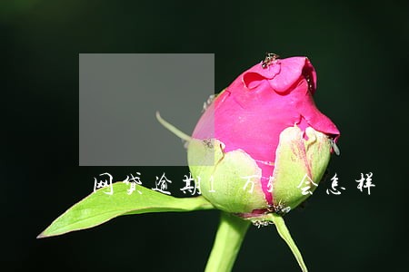 网贷逾期1万5会怎样 网贷逾期1万5会怎样