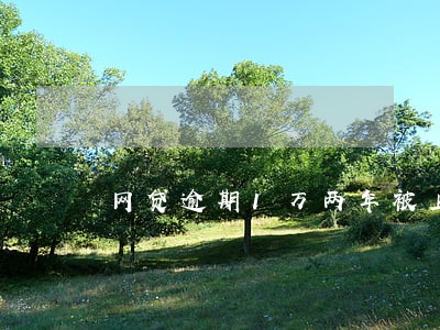 网贷逾期1万两年被上诉怎么办 网贷逾期1万两年被上诉怎么办