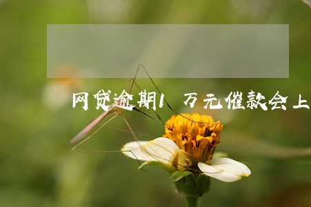 网贷逾期1万元催款会上门吗 网贷逾期1万元催款会上门吗