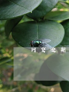 网贷逾期1万多会被起诉吧 网贷逾期1万多会被起诉吧