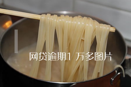 网贷逾期1万多图片 网贷逾期1万多图片