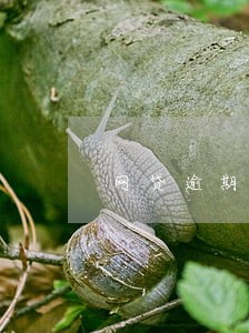 网贷逾期1万多有什么影响 网贷逾期1万多有什么影响