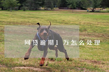 网贷逾期1万怎么处理 网贷逾期1万怎么处理
