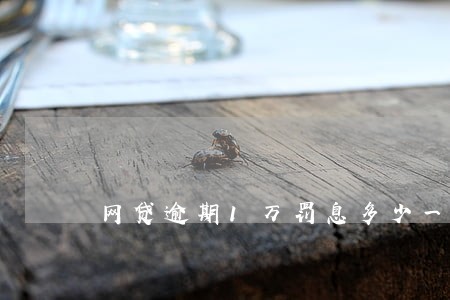 网贷逾期1万罚息多少一天 网贷逾期1万罚息多少一天