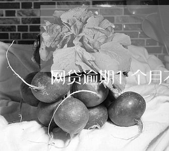 网贷逾期1个月不还 网贷逾期1个月不还