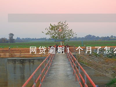 网贷逾期1个月了怎么办 网贷逾期1个月了怎么办