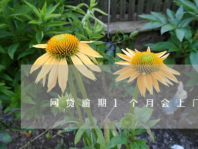 网贷逾期1个月会上门催收吗 网贷逾期1个月会上门催收吗