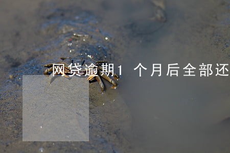 网贷逾期1个月后全部还款
