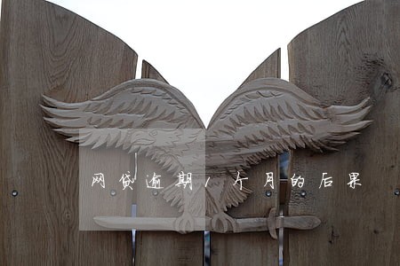 网贷逾期1个月的后果