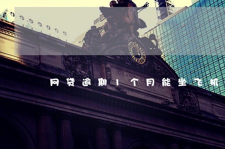 网贷逾期1个月能坐飞机吗 网贷逾期1个月能坐飞机吗