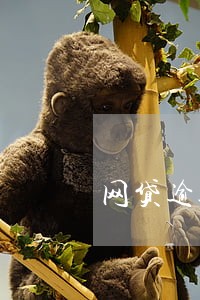 网贷逾期1个月还款 网贷逾期1个月还款
