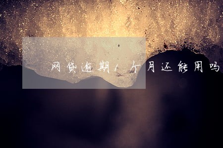 网贷逾期1个月还能用吗 网贷逾期1个月还能用吗