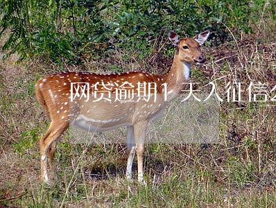 网贷逾期1天入征信么 网贷逾期1天入征信么