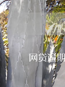 网贷逾期1天利息几百 网贷逾期1天利息几百