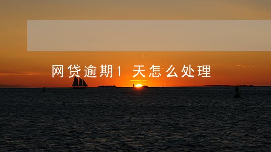 网贷逾期1天怎么处理 网贷逾期1天怎么处理
