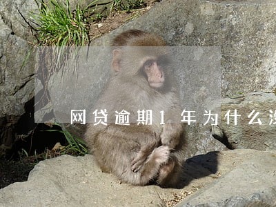 网贷逾期1年为什么没事了呢 网贷逾期1年为什么没事了呢