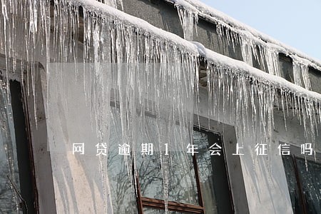 网贷逾期1年会上征信吗 网贷逾期1年会上征信吗