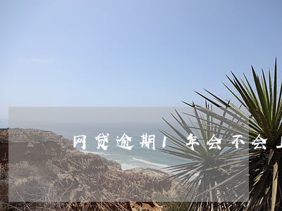 网贷逾期1年会不会上门