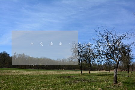 网贷逾期1年会怎么样 网贷逾期1年会怎么样
