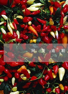 网贷逾期1年会有什么后果 网贷逾期1年会有什么后果
