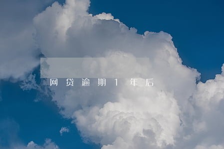 网贷逾期1年后 网贷逾期1年后