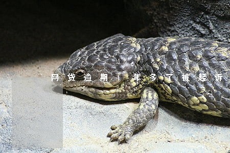 网贷逾期1年多了被起诉 网贷逾期1年多了被起诉