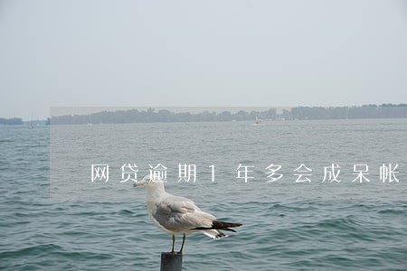 网贷逾期1年多会成呆帐吗 网贷逾期1年多会成呆帐吗