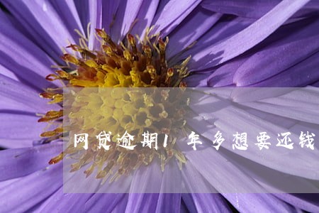 网贷逾期1年多想要还钱 网贷逾期1年多想要还钱