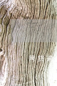 网贷逾期1年有什么后果 网贷逾期1年有什么后果