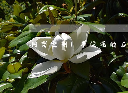 网贷逾期1年没还的后果 网贷逾期1年没还的后果