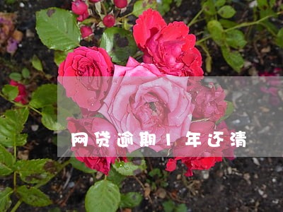 网贷逾期1年还清 网贷逾期1年还清