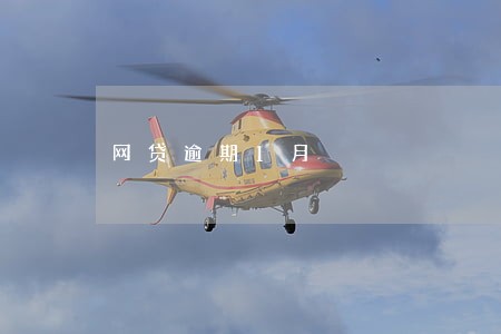 网贷逾期1月 网贷逾期1月