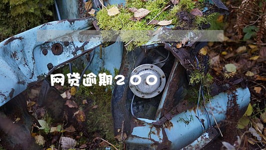 网贷逾期200 网贷逾期200