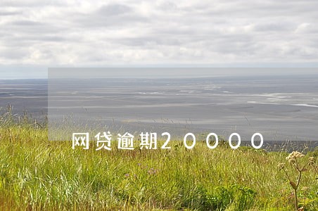 网贷逾期20000 网贷逾期20000