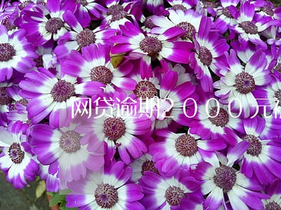 网贷逾期2000元被暴力催收 网贷逾期2000元被暴力催收