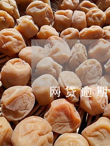 网贷逾期2000多久会催收 网贷逾期2000多久会催收