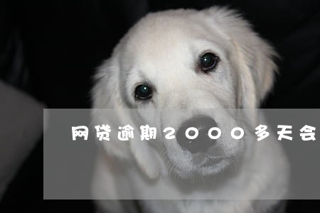 网贷逾期2000多天会怎么样 网贷逾期2000多天会怎么样