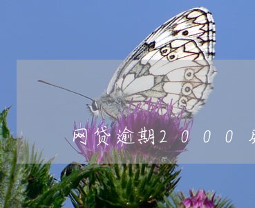 网贷逾期2000威胁上门 网贷逾期2000威胁上门