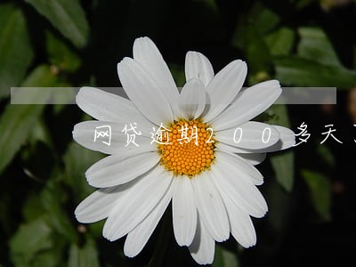 网贷逾期200多天了 网贷逾期200多天了