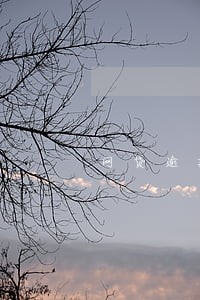 网贷逾期2021年新规 网贷逾期2021年新规