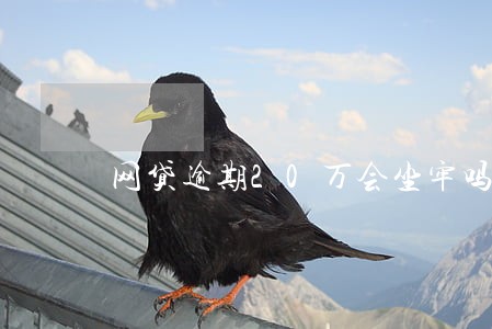 网贷逾期20万会坐牢吗